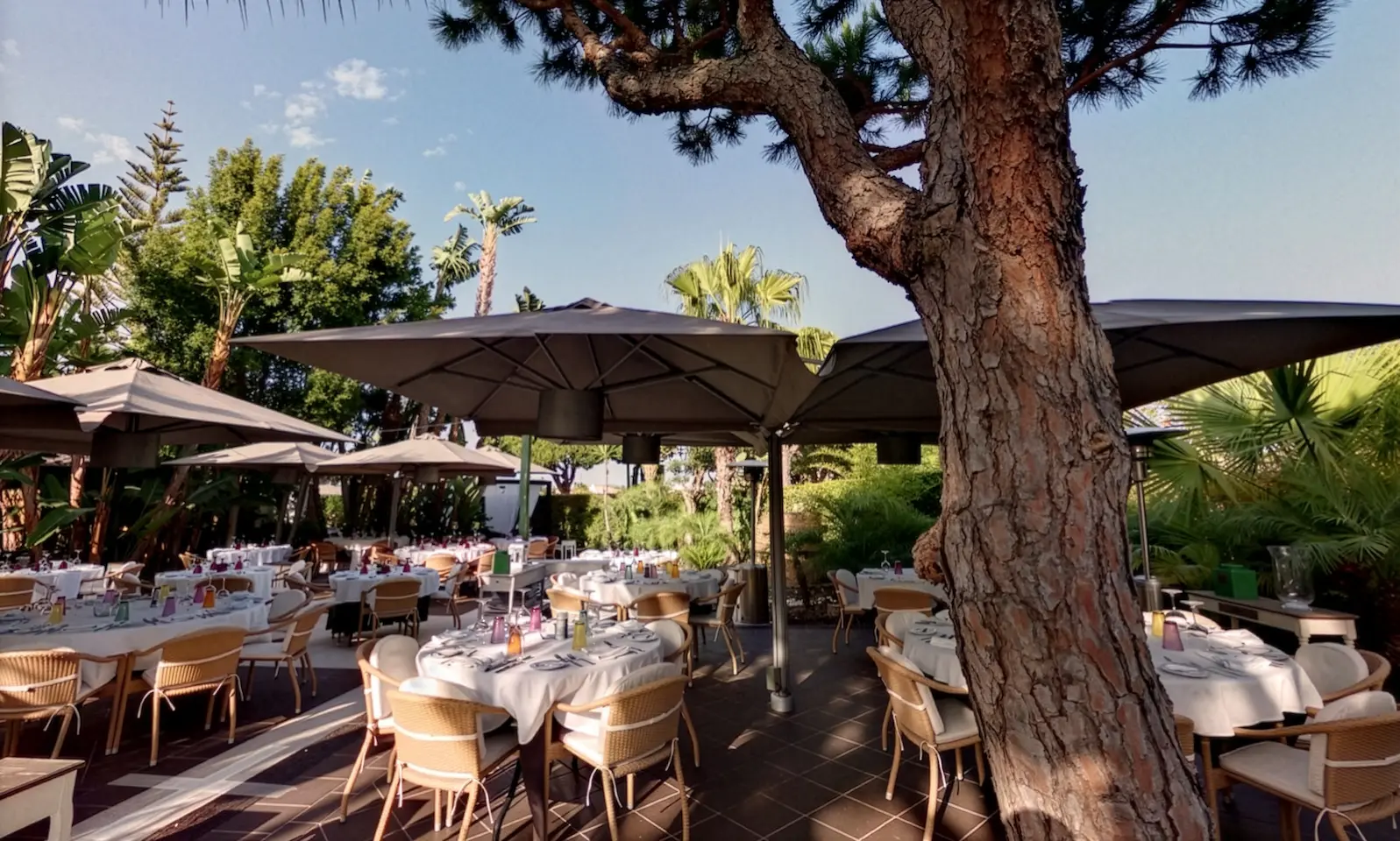 Alambique traditional Portuguese restaurant in Almancil Algarve known for authentic cuisine